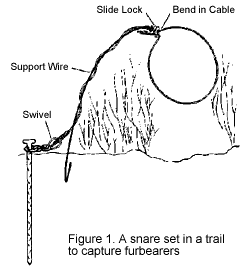 Snares & Traps 101